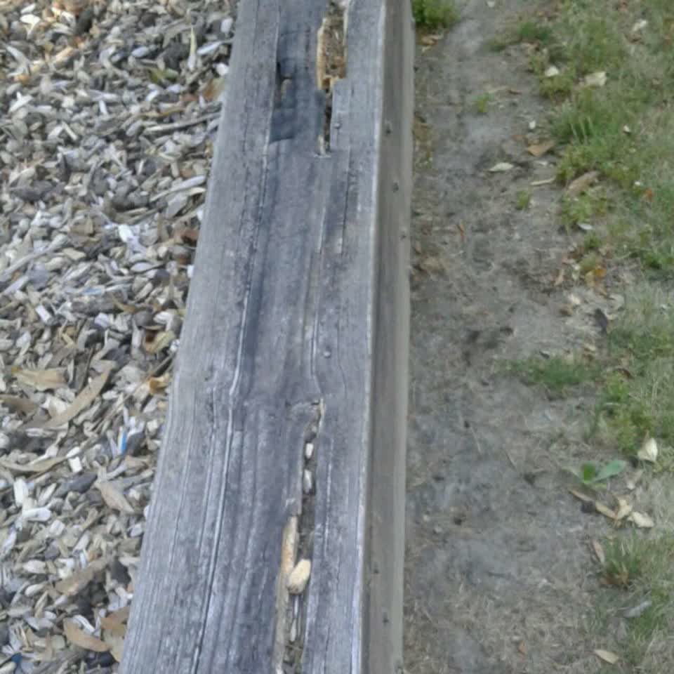 The photograph attached to this parks report