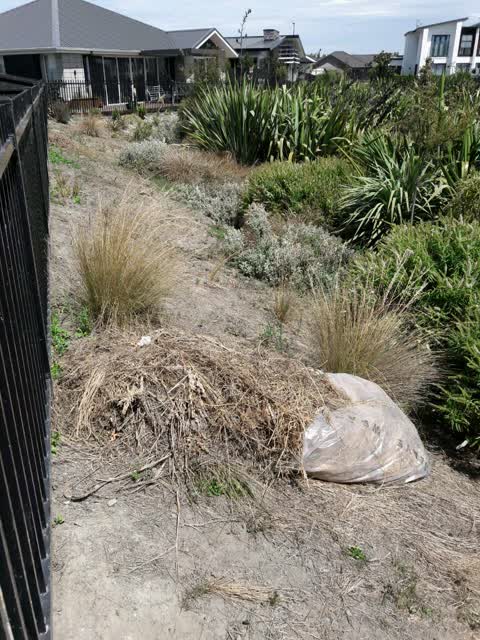 Parks, a report photo