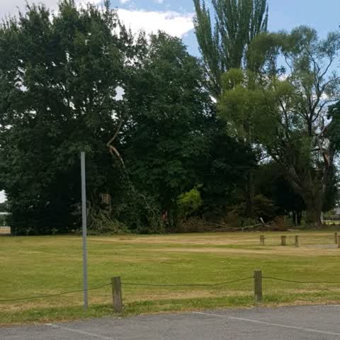 Parks, a report photo