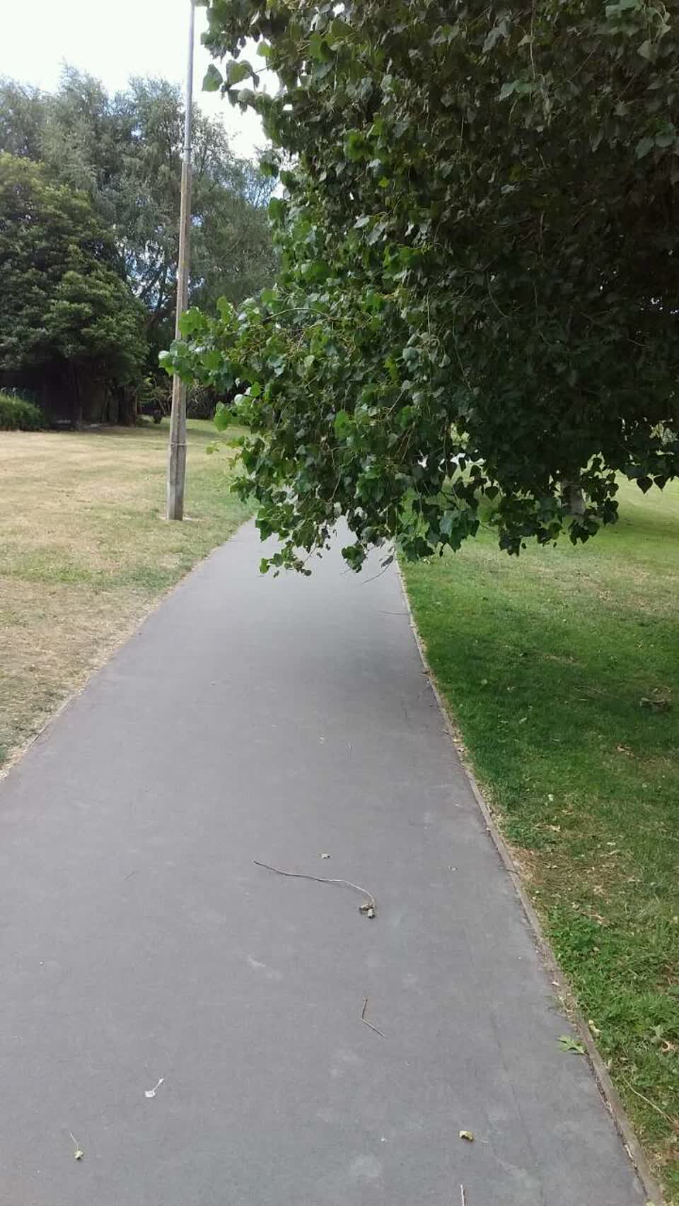 The photograph attached to this parks report