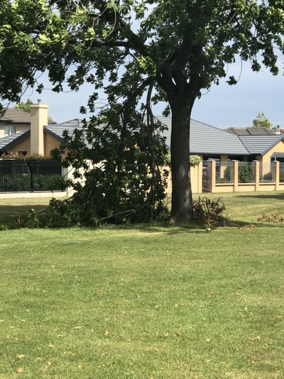 The photograph attached to this parks report