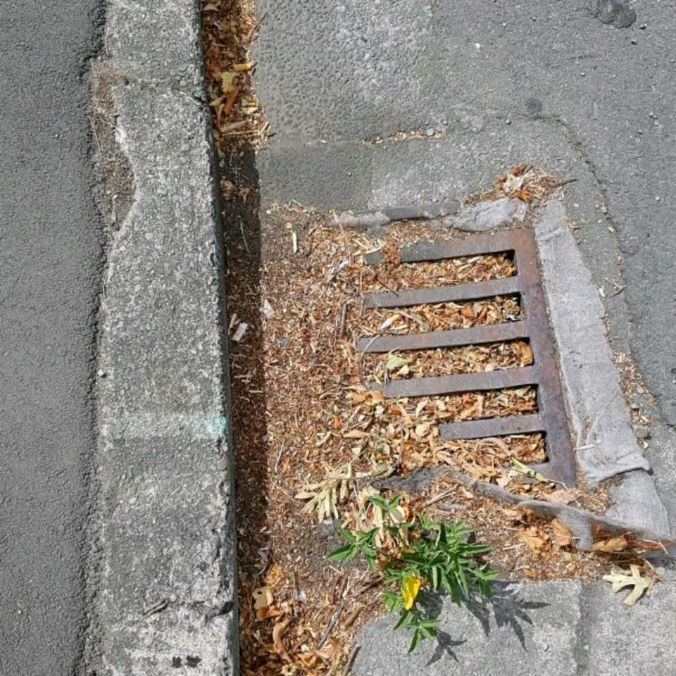 The photograph attached to this wastewater/stormwater report