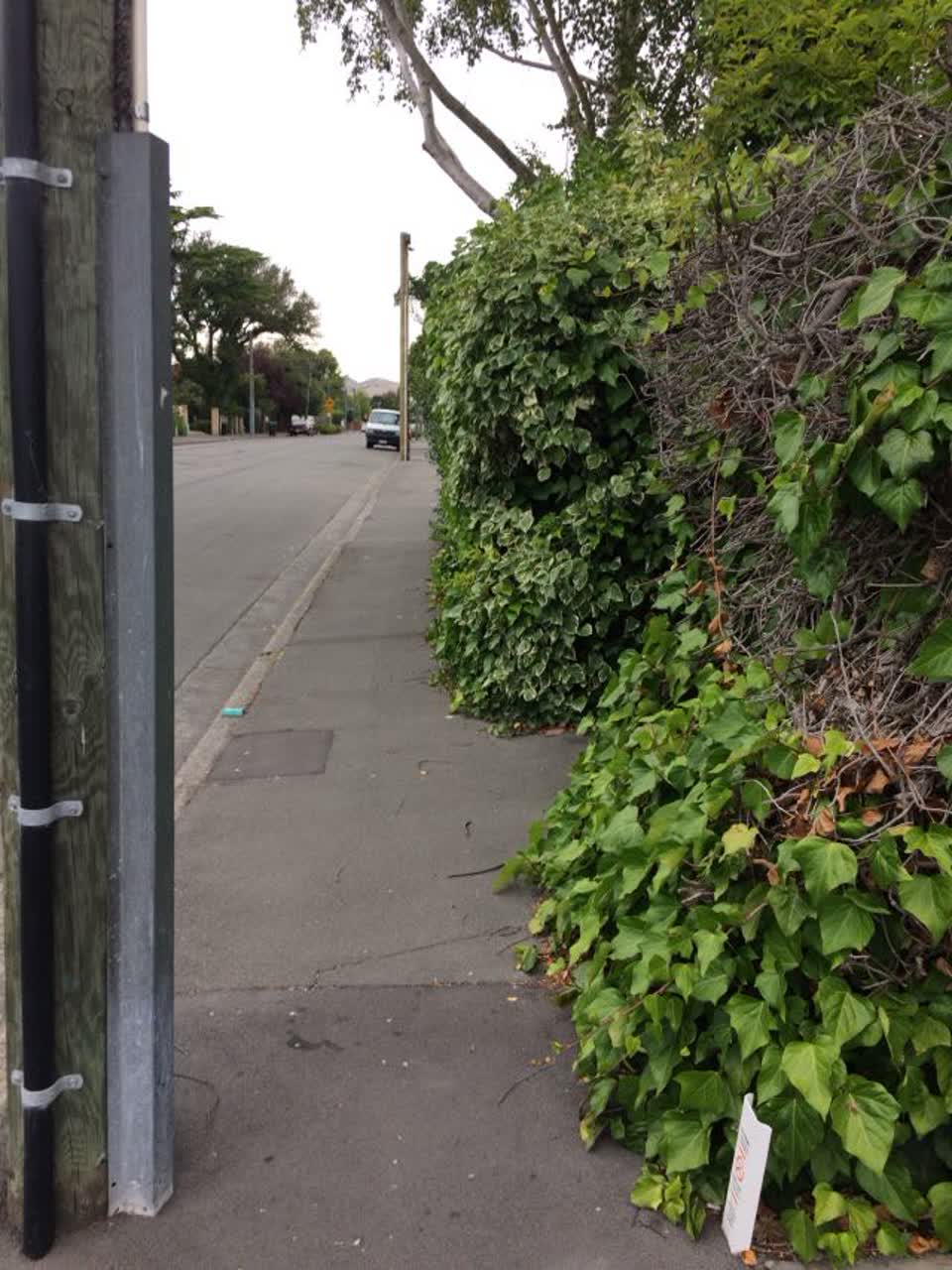 The photograph attached to this roading/streets report