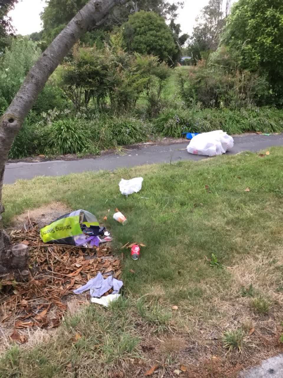 The photograph attached to this rubbish/recycling report