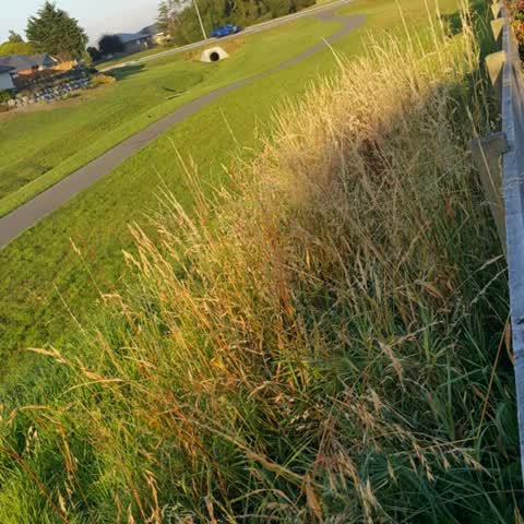 Roading/Streets, a report photo