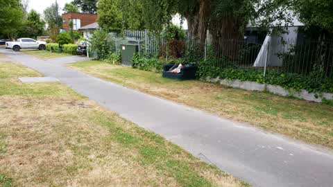Rubbish/Recycling, a report photo