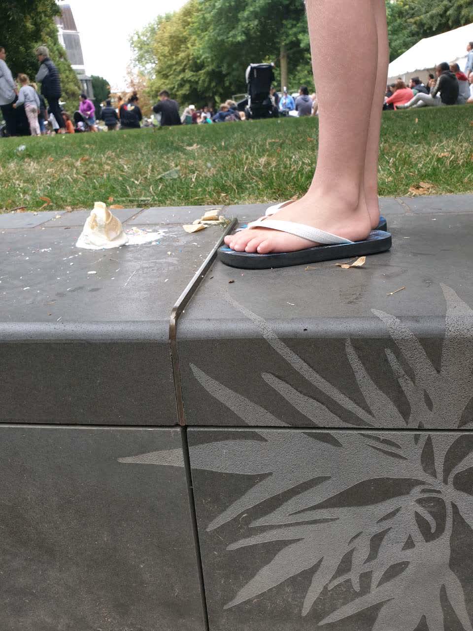The photograph attached to this parks report