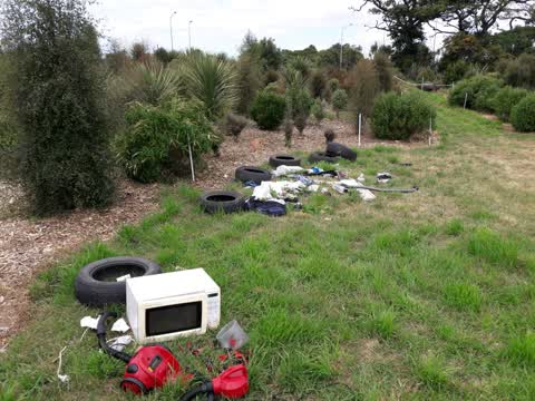 Parks, a report photo