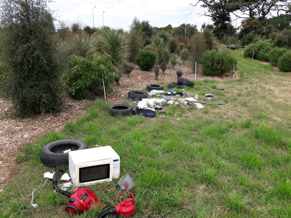 The photograph attached to this parks report