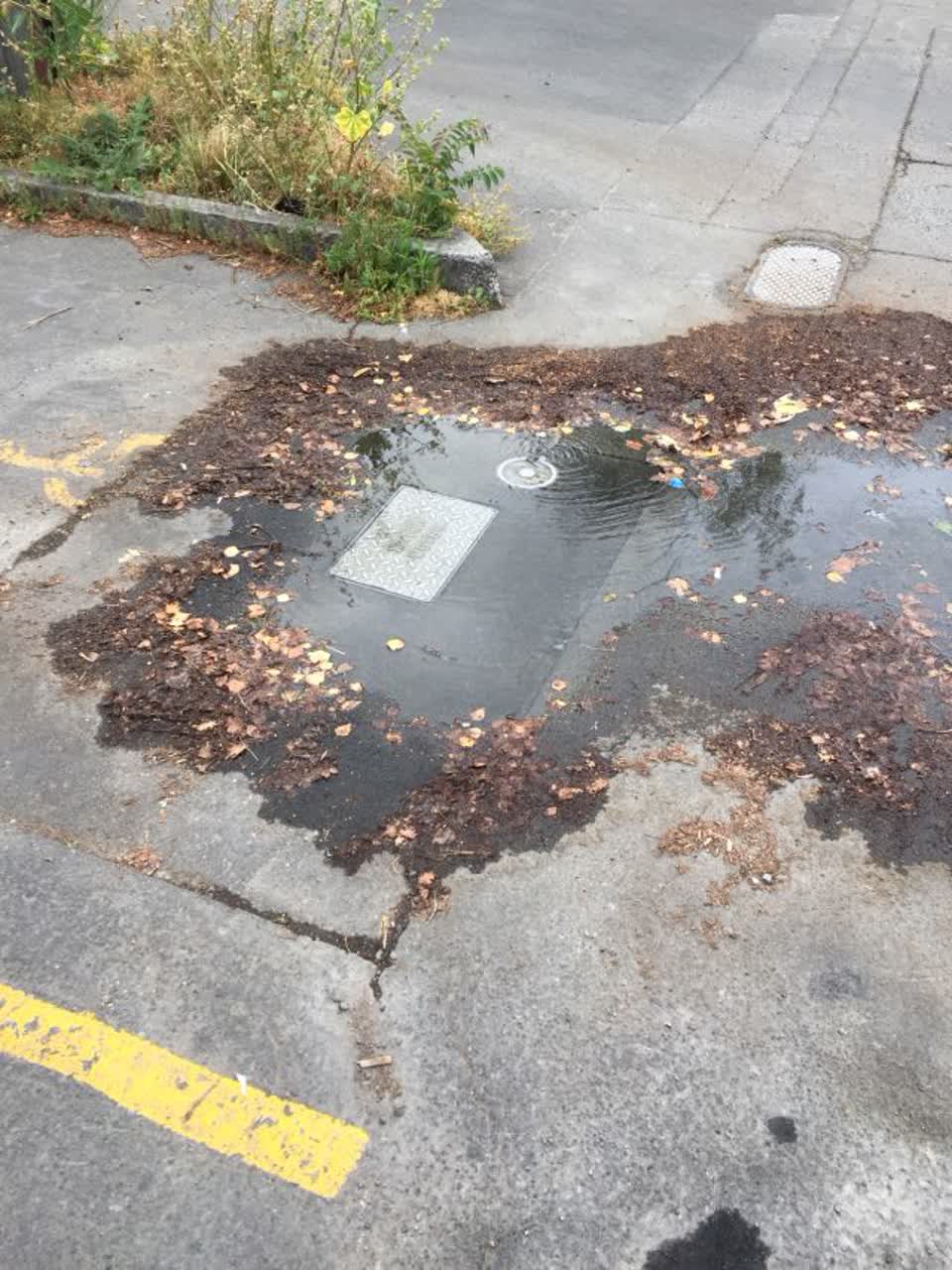 The photograph attached to this water supply report