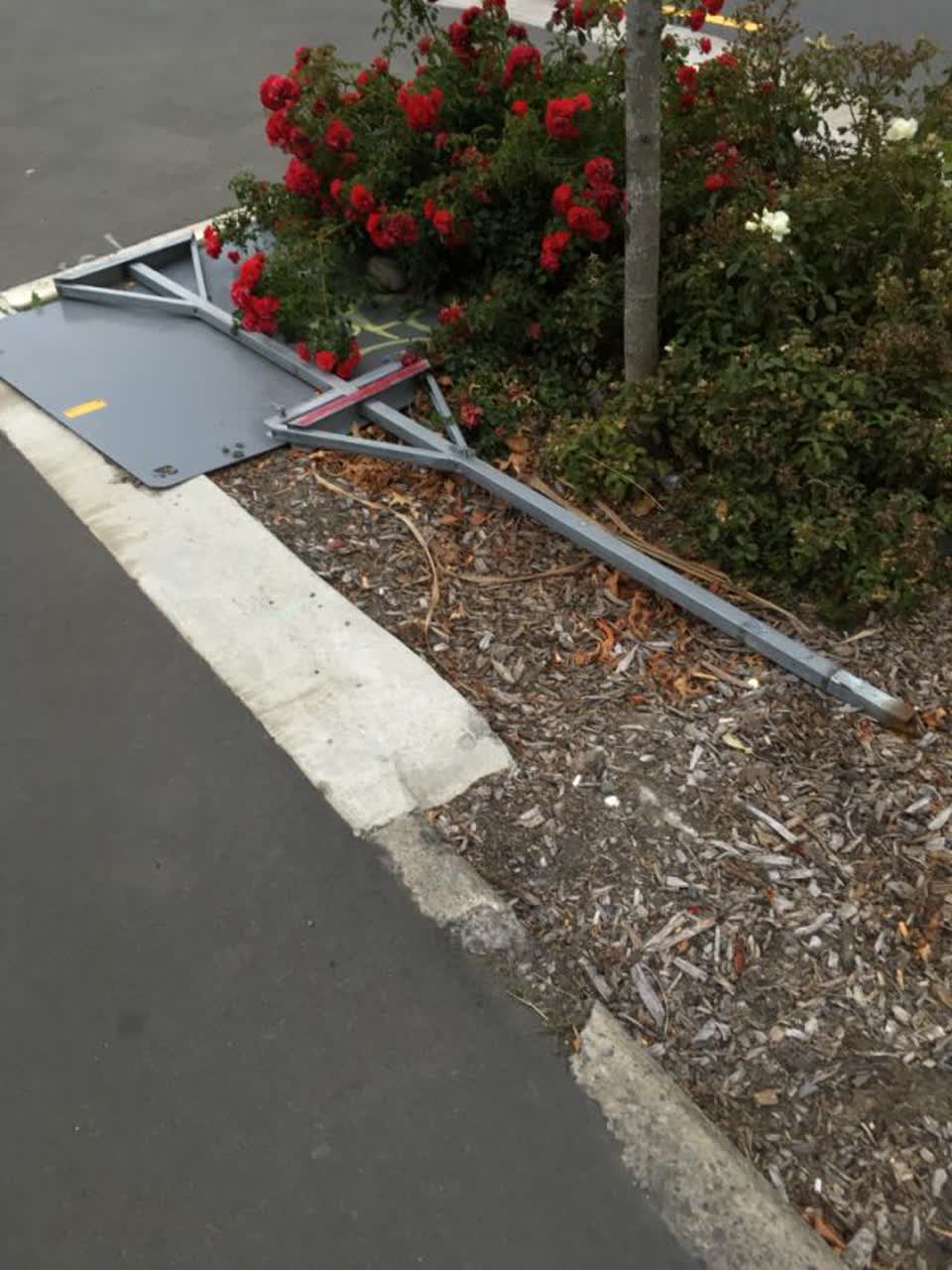 The photograph attached to this roading/streets report