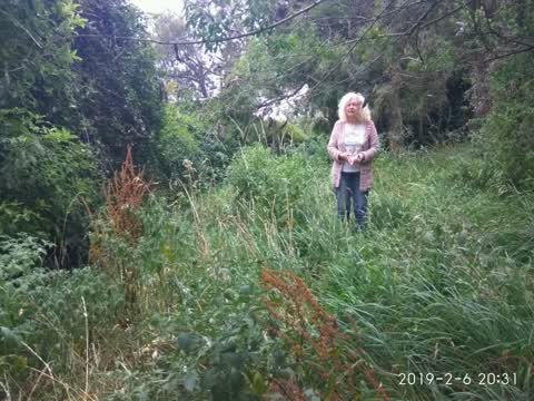 Parks, a report photo