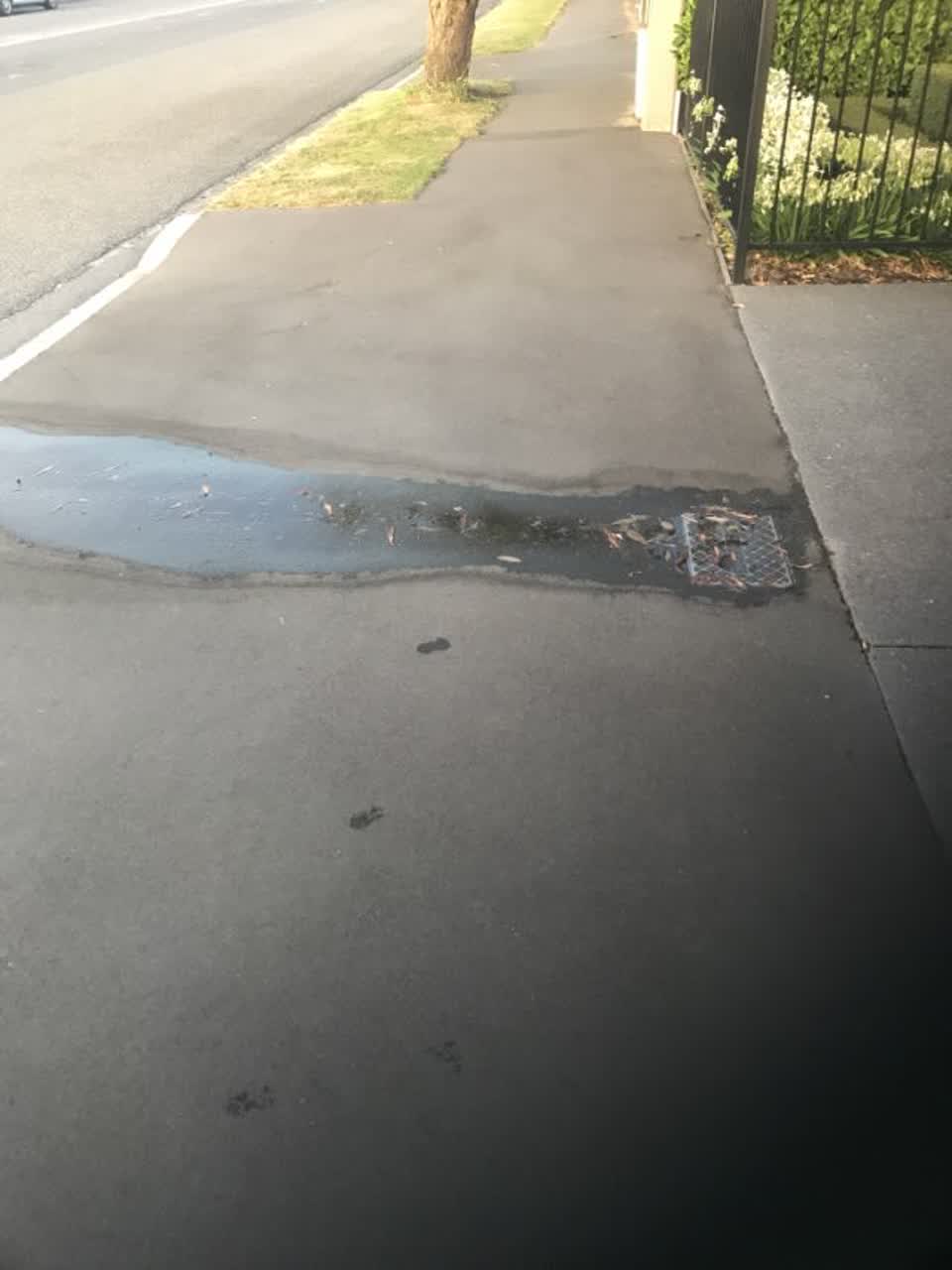The photograph attached to this water supply report