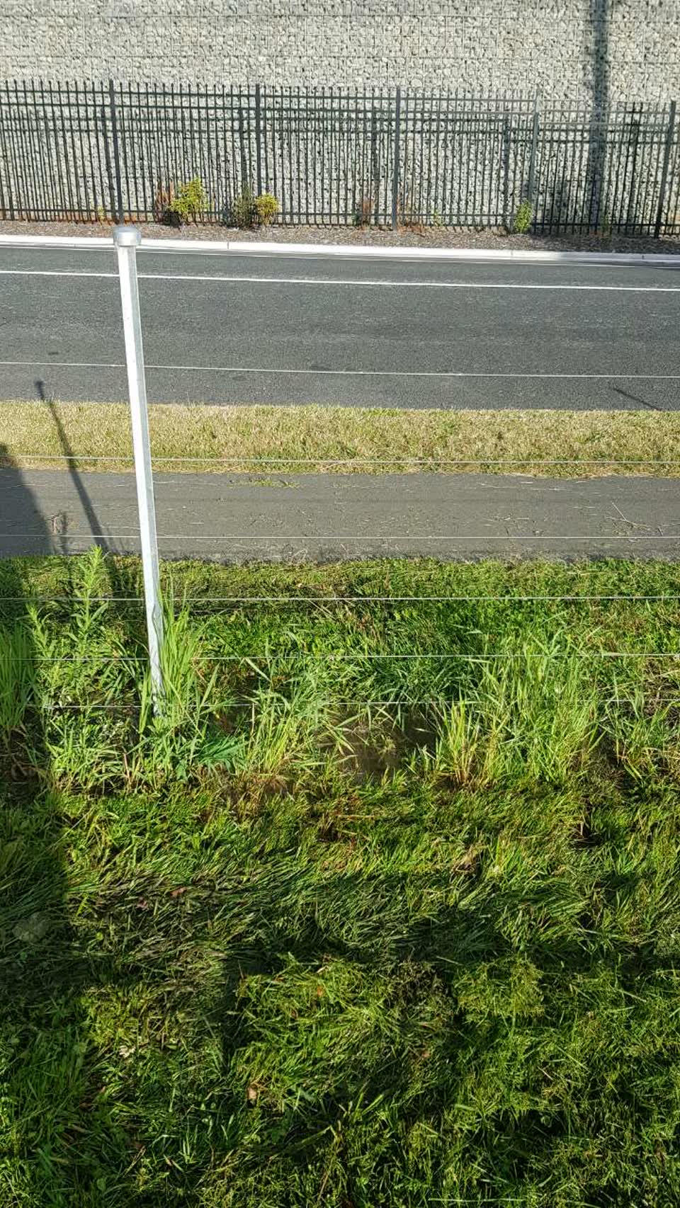 The photograph attached to this water supply report