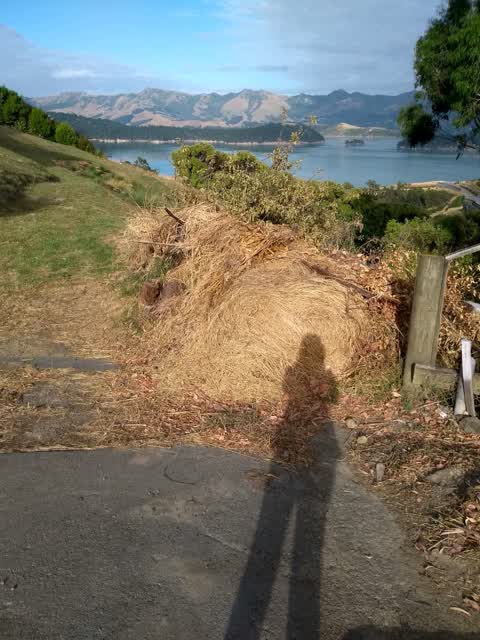 Roading/Streets, a report photo