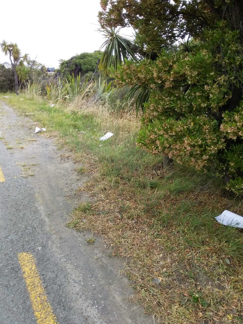 The photograph attached to this rubbish/recycling report