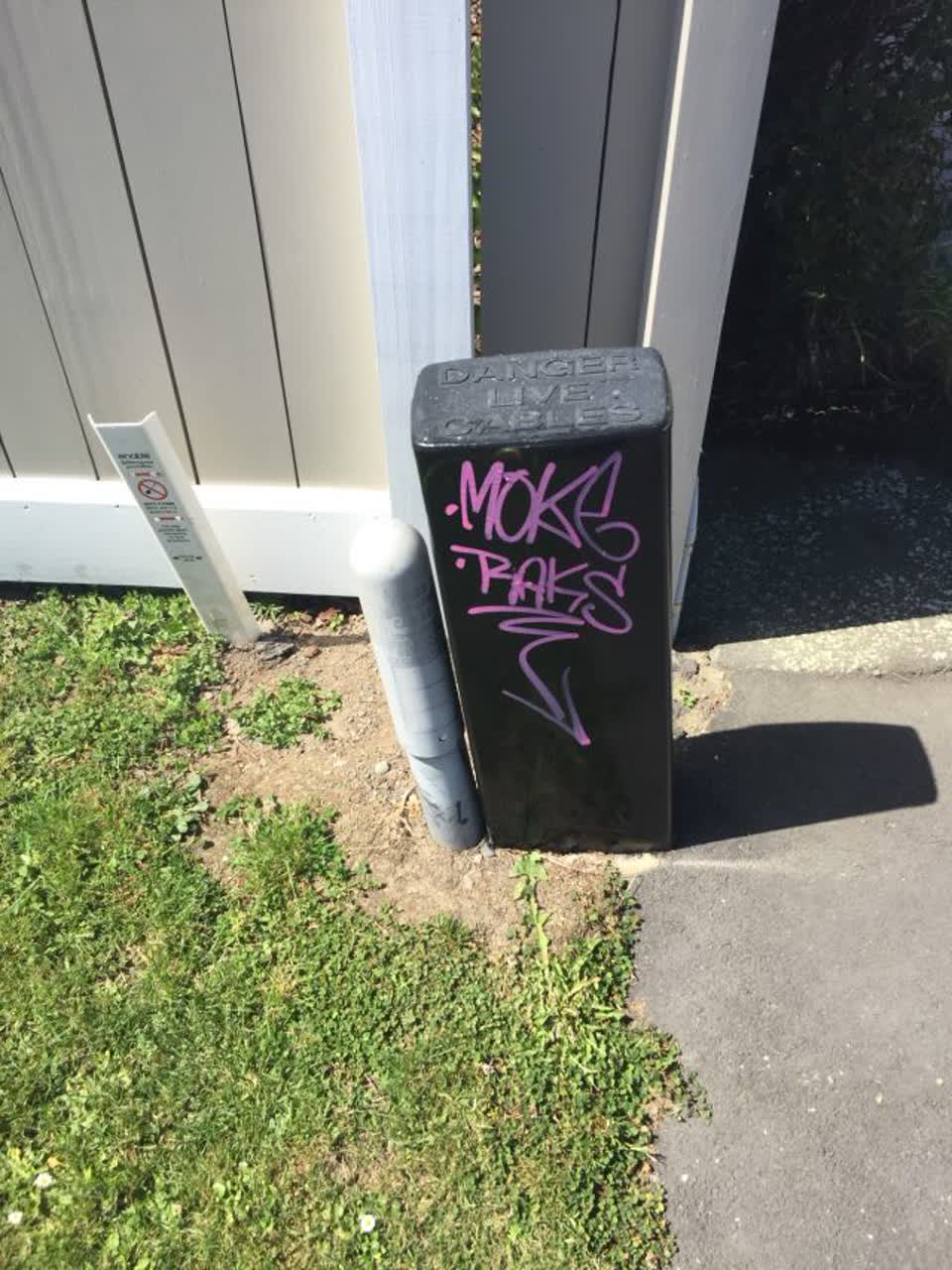 The photograph attached to this graffiti report