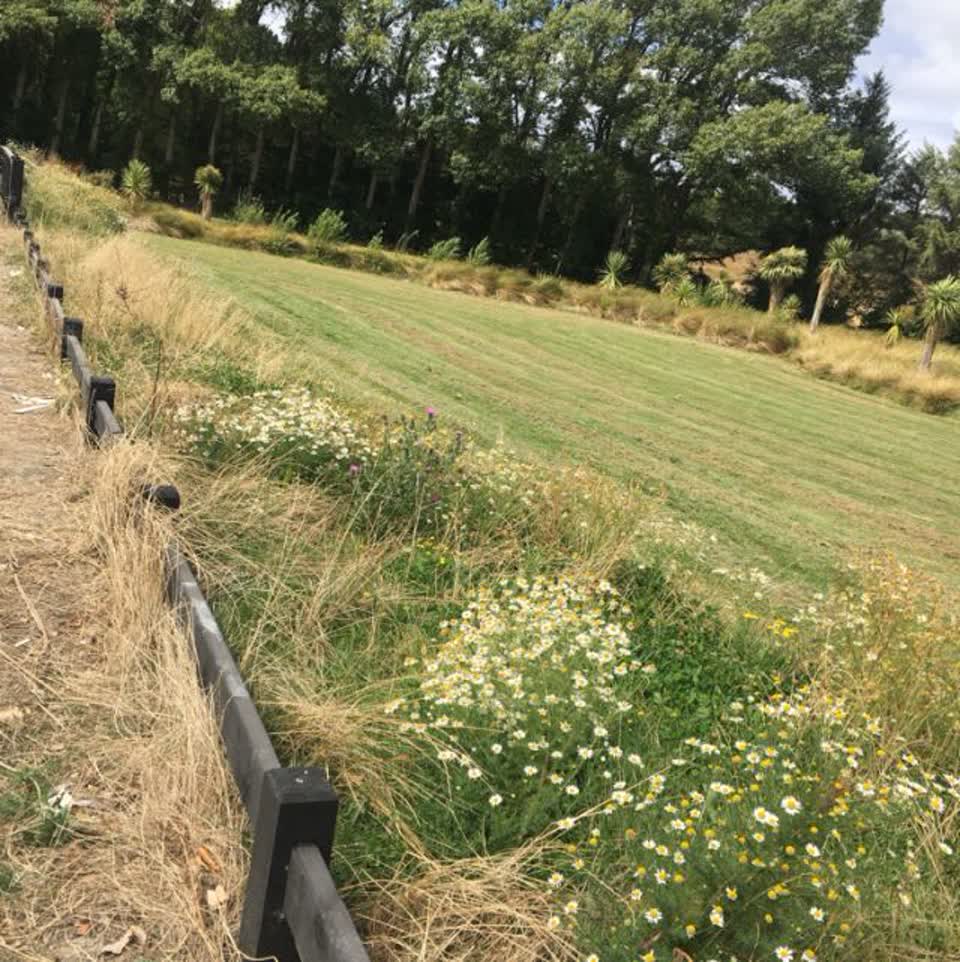 The photograph attached to this parks report