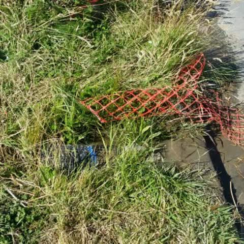 Wastewater/Stormwater, a report photo