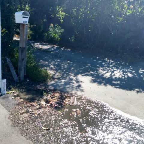 Water Supply, a report photo