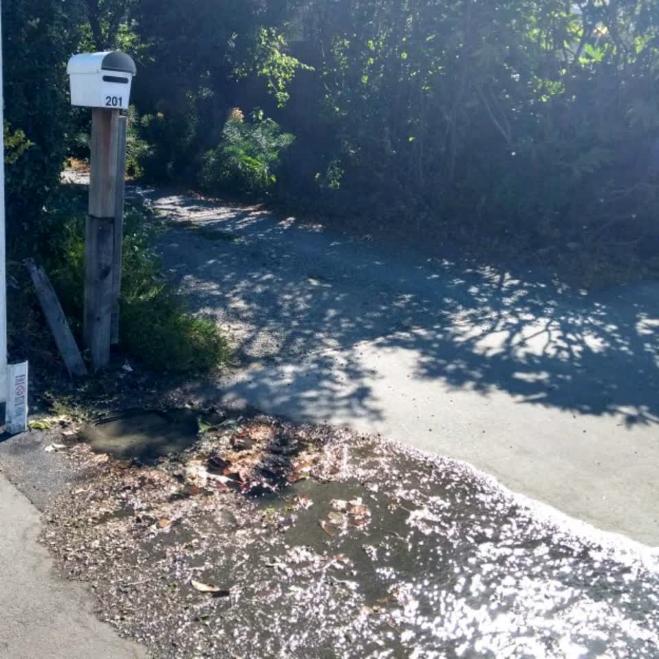 The photograph attached to this water supply report