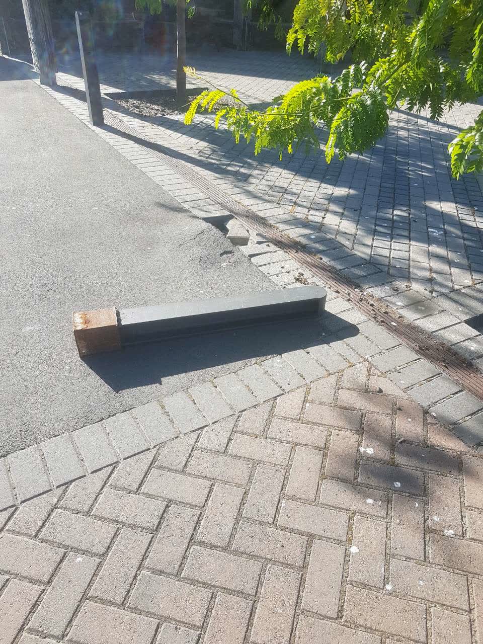 The photograph attached to this parks report
