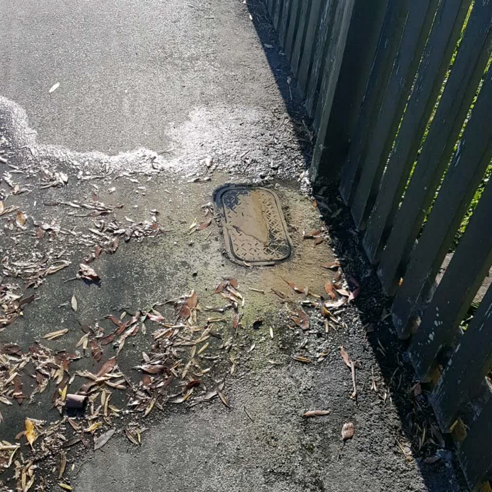 The photograph attached to this water supply report