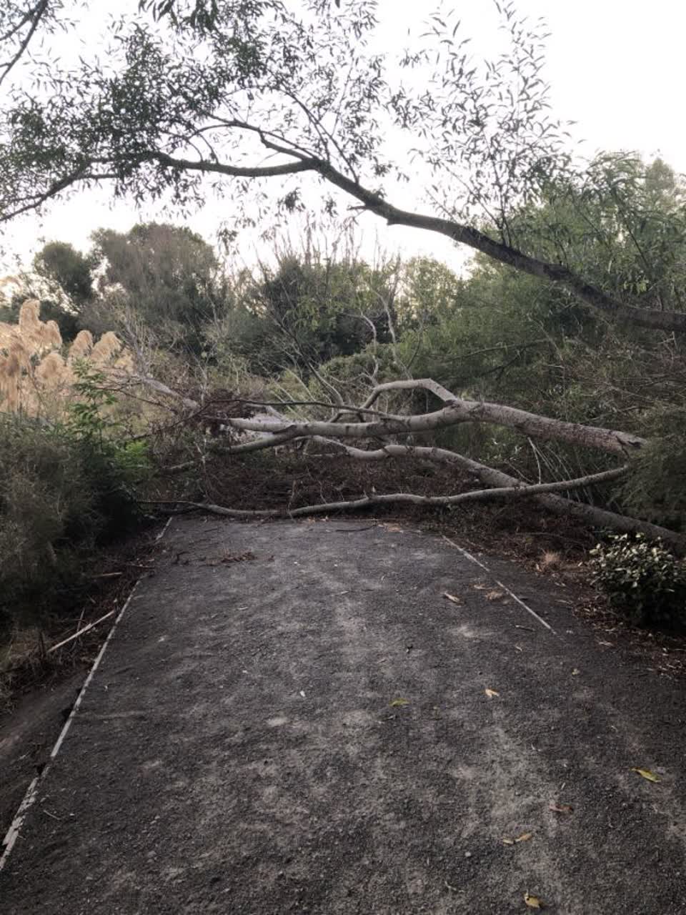 The photograph attached to this parks report
