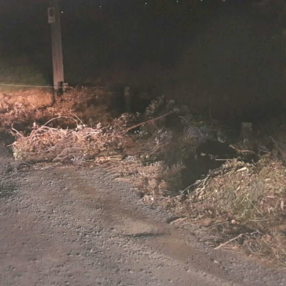 The photograph attached to this parks report