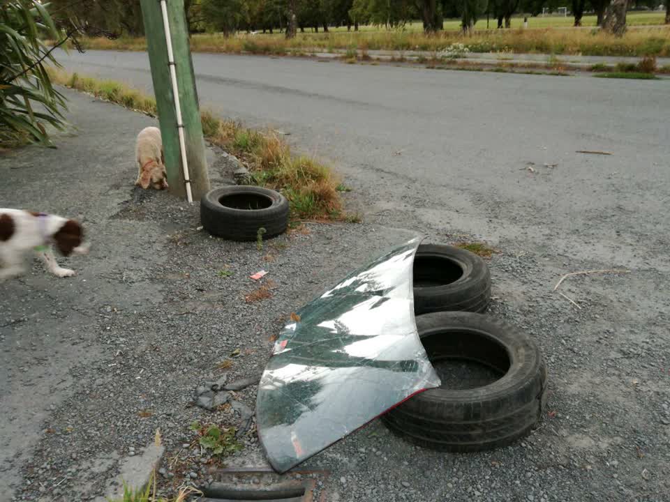 The photograph attached to this rubbish/recycling report