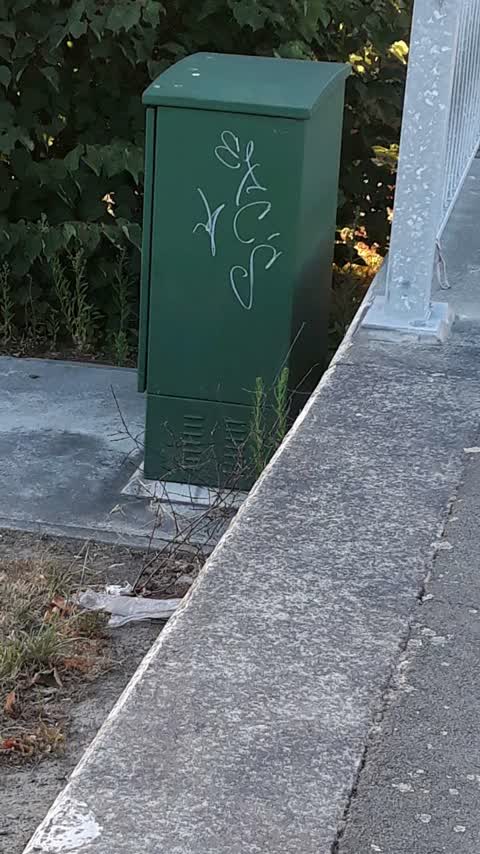 Graffiti, a report photo