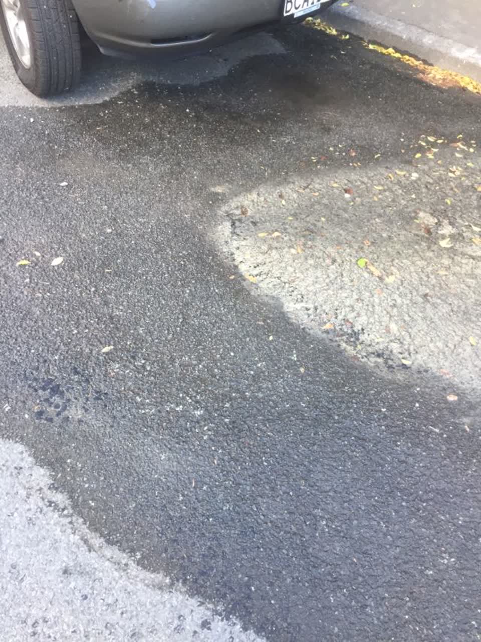 The photograph attached to this water supply report