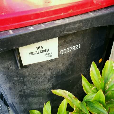 Rubbish/Recycling, a report photo