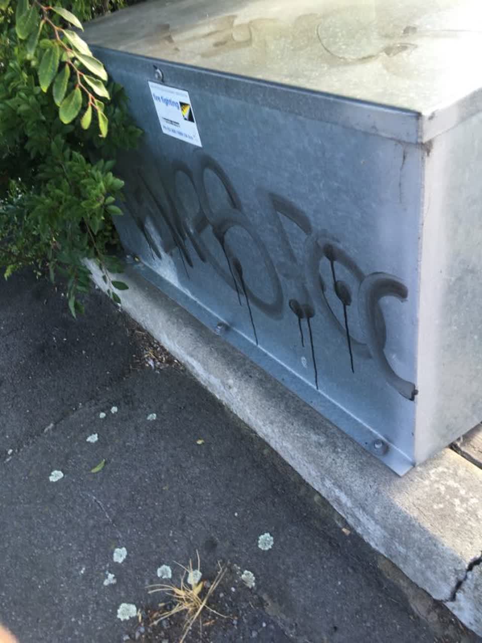 The photograph attached to this graffiti report