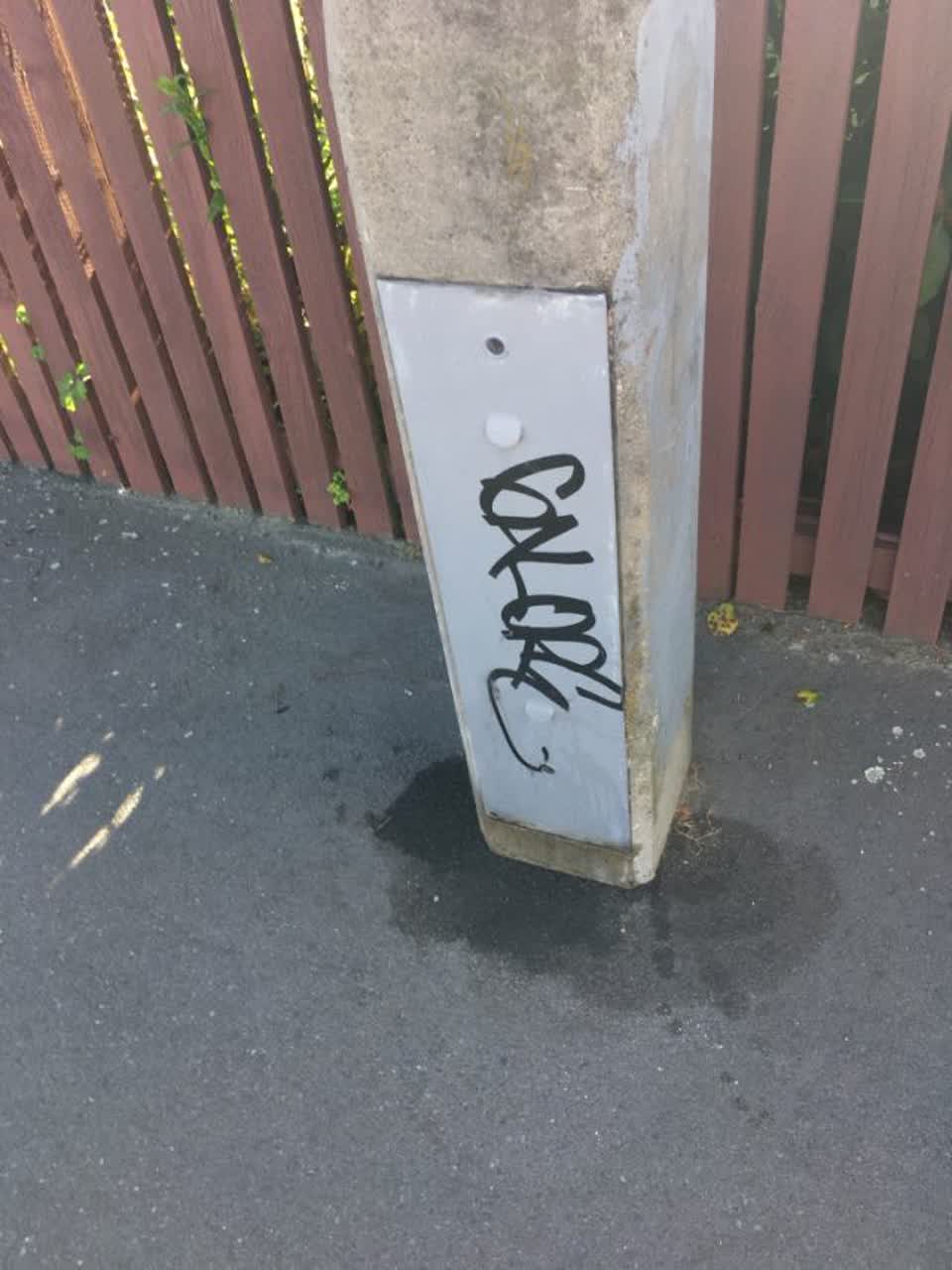 The photograph attached to this graffiti report