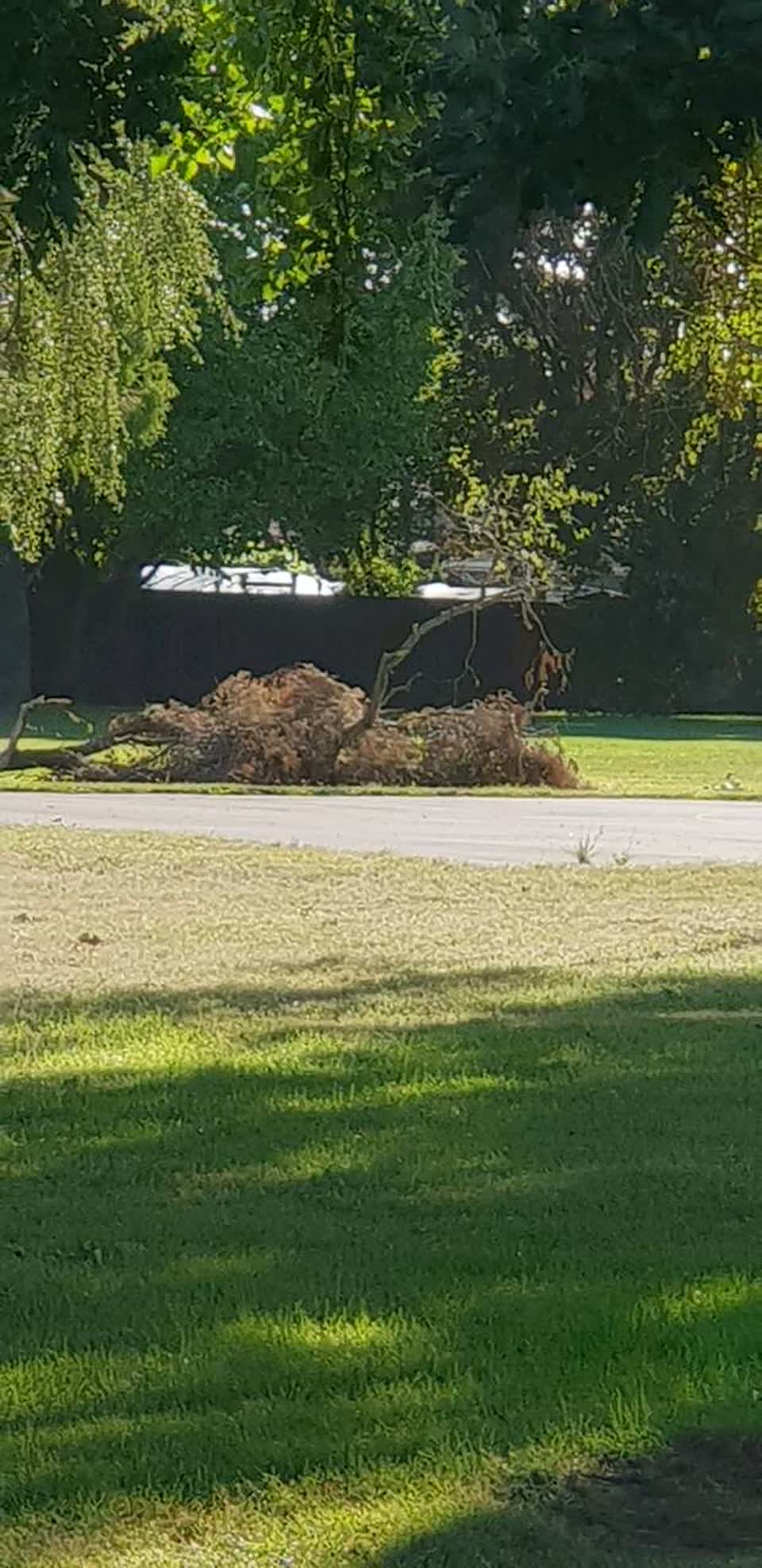 The photograph attached to this parks report