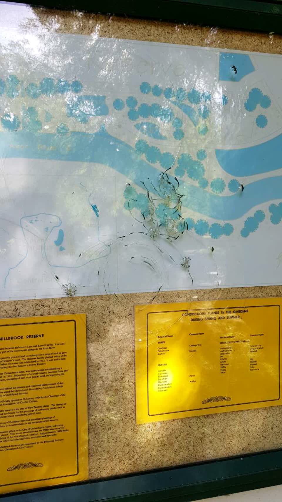 The photograph attached to this parks report