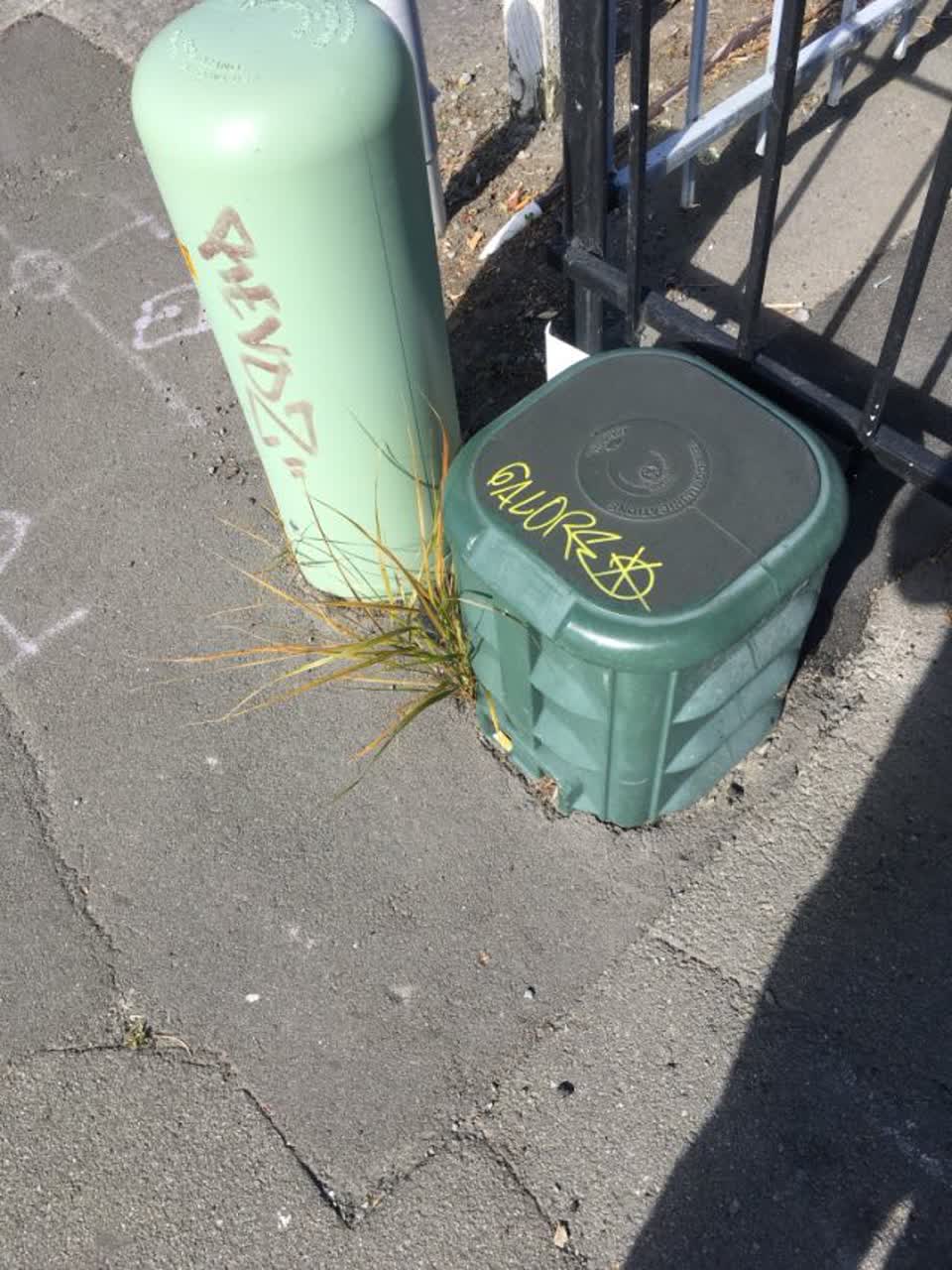 The photograph attached to this graffiti report