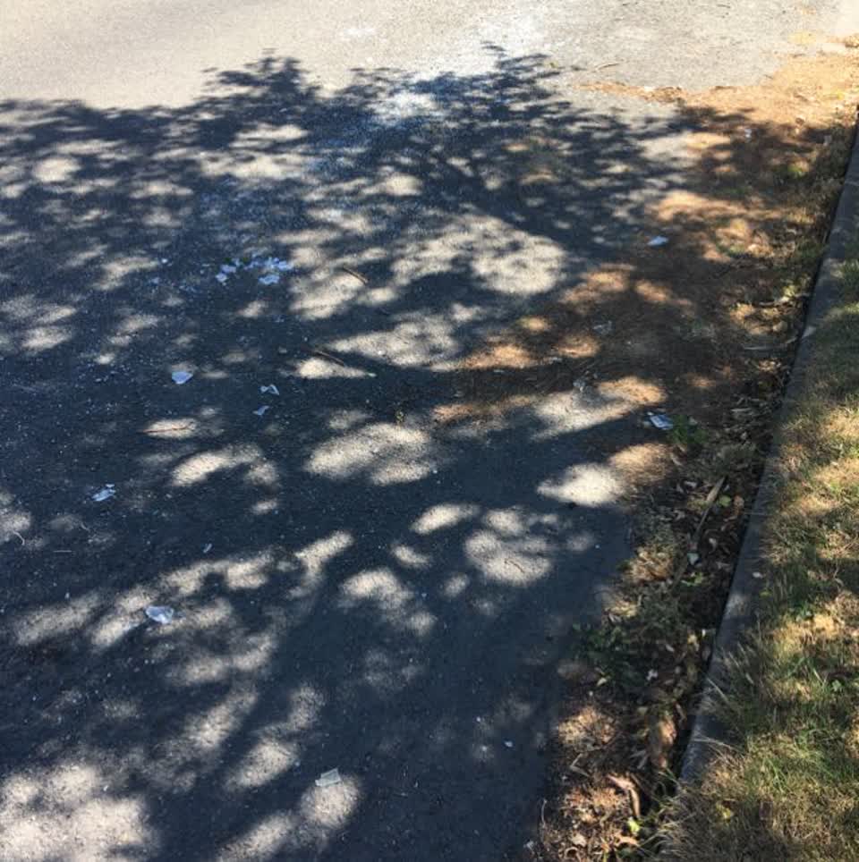 The photograph attached to this roading/streets report