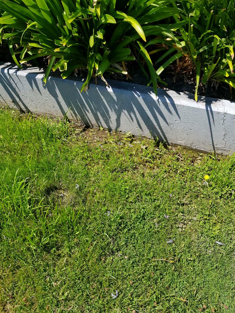The photograph attached to this water supply report