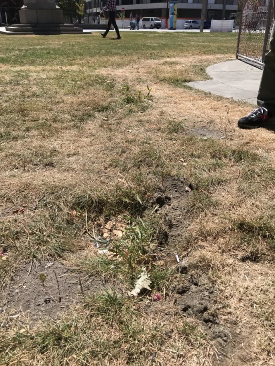 The photograph attached to this parks report