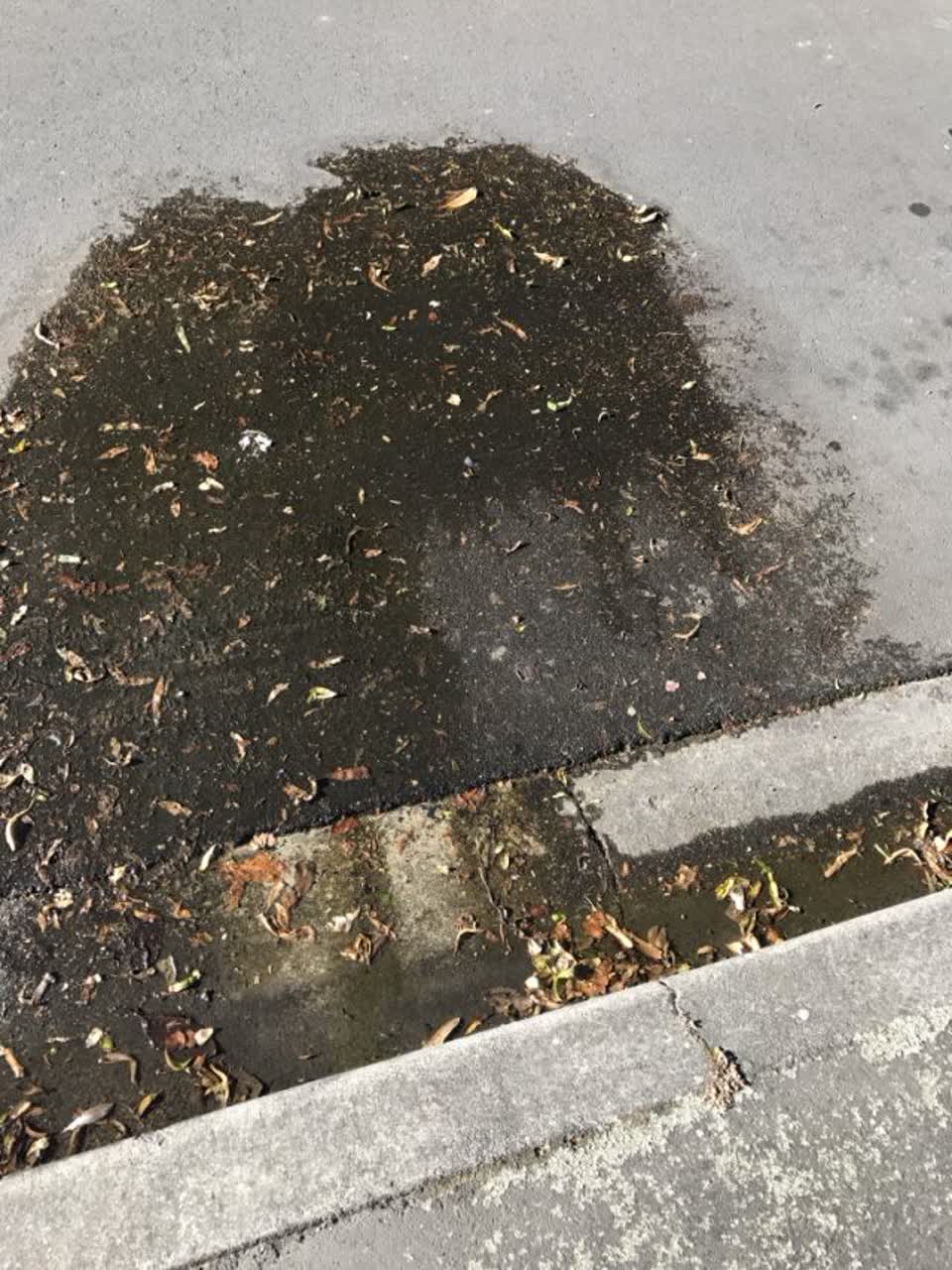 The photograph attached to this water supply report