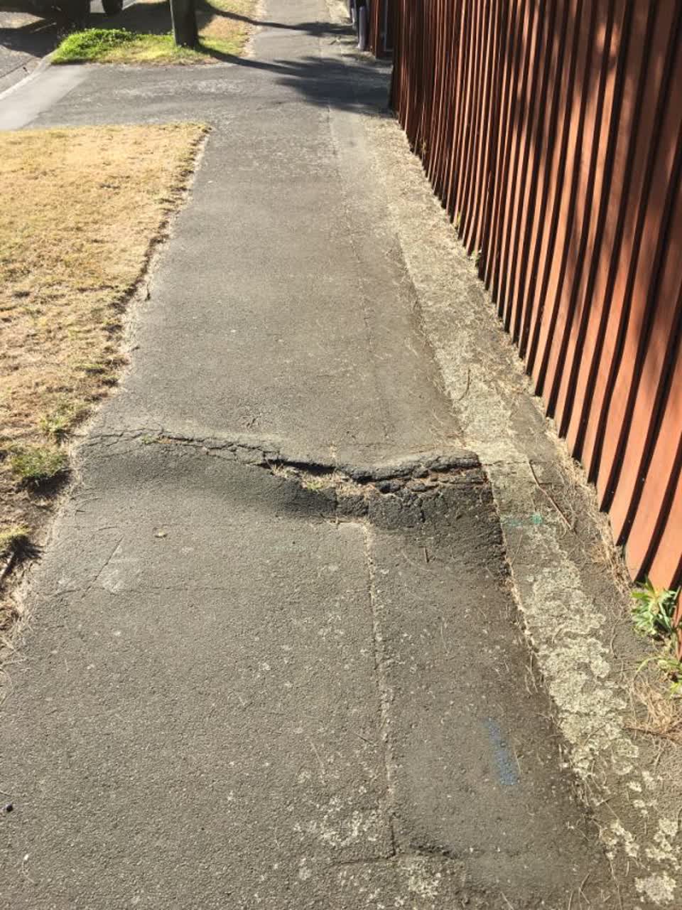 The photograph attached to this roading/streets report