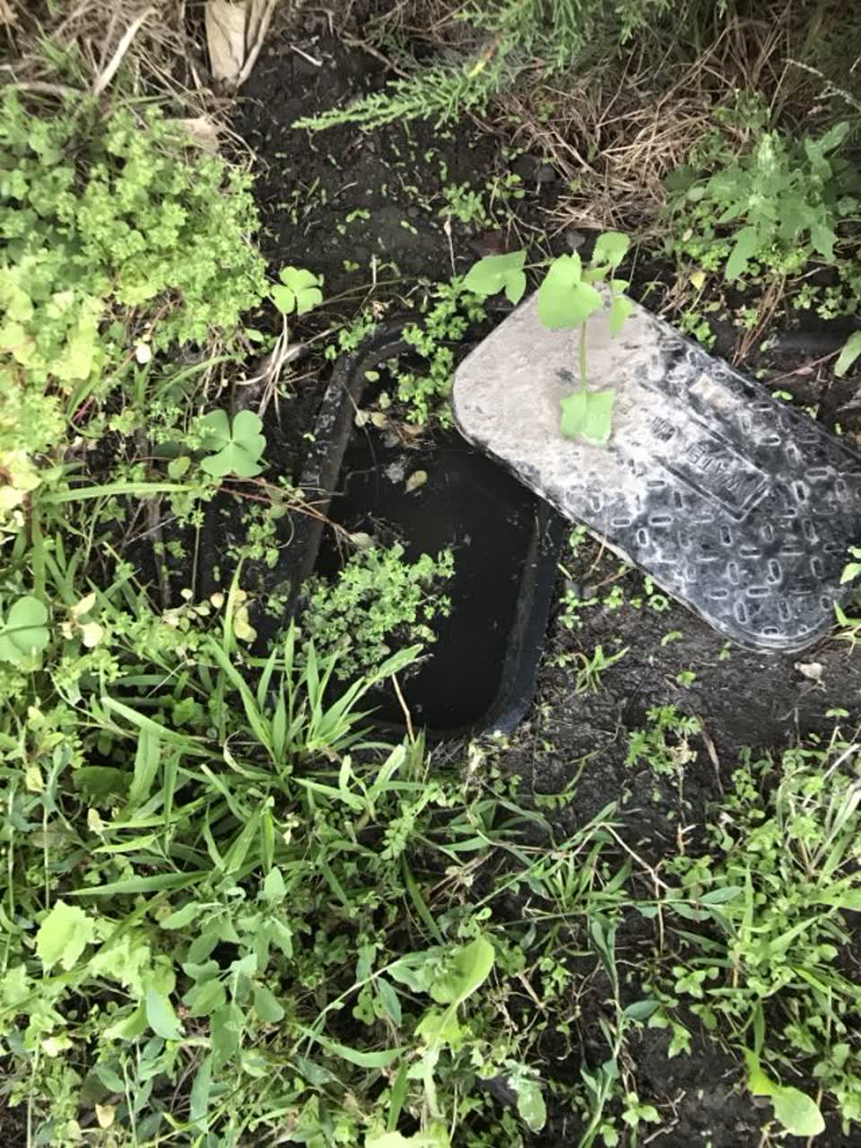 The photograph attached to this water supply report