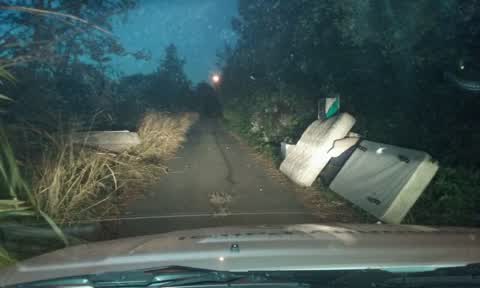 Rubbish/Recycling, a report photo