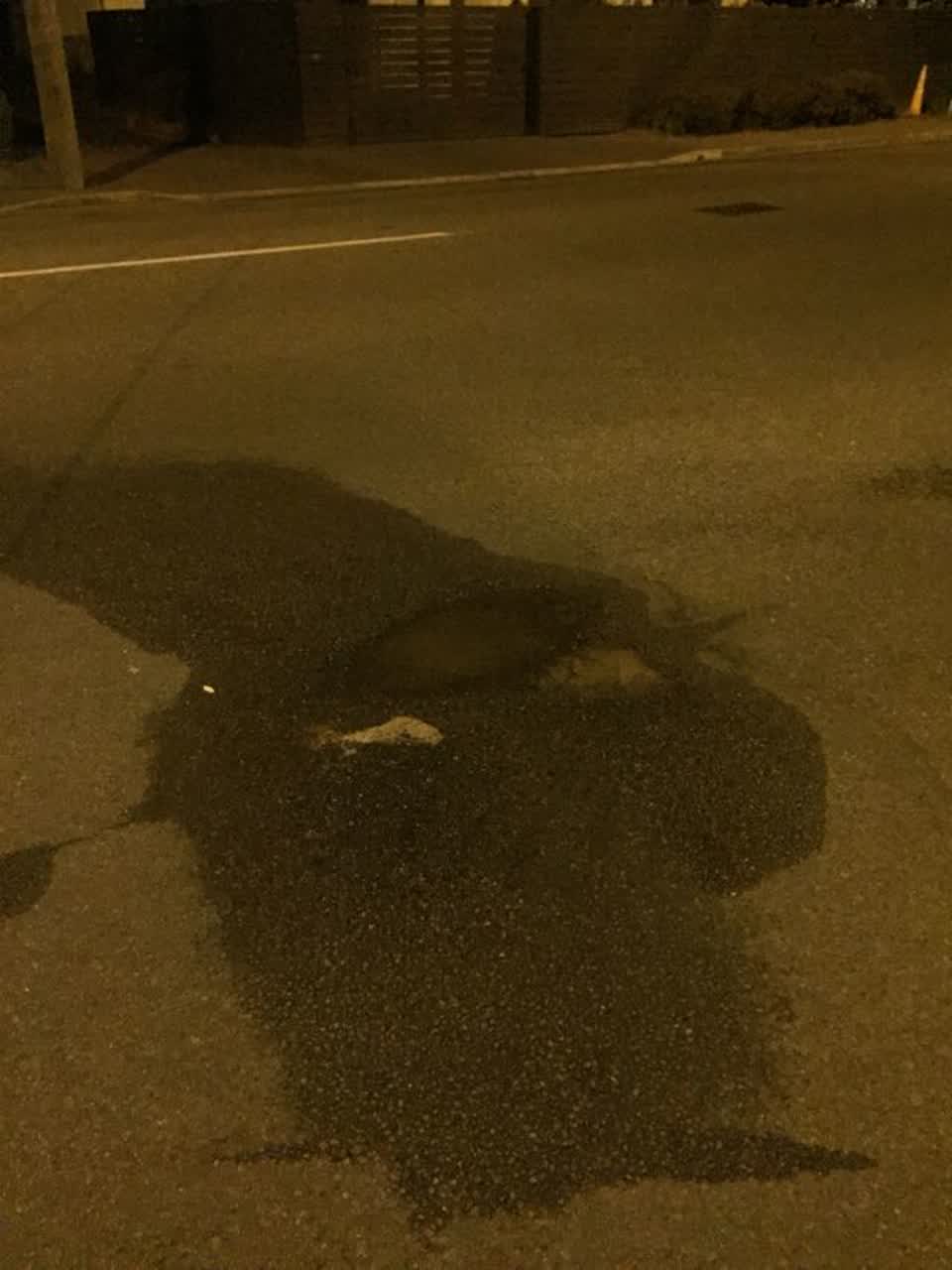 The photograph attached to this roading/streets report
