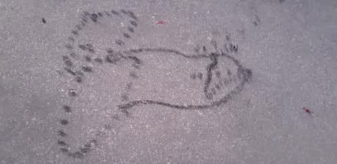 Graffiti, a report photo