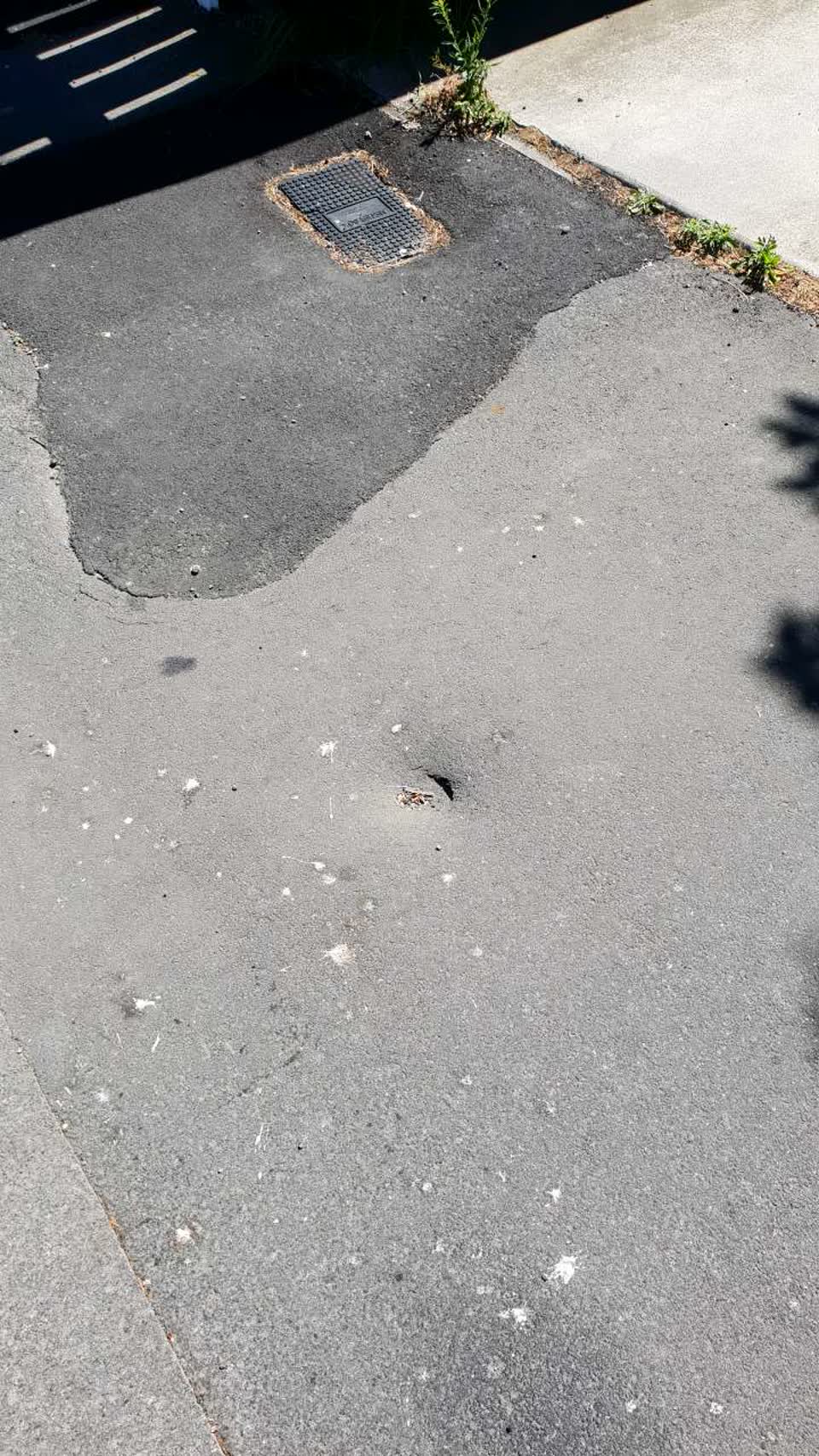 The photograph attached to this roading/streets report