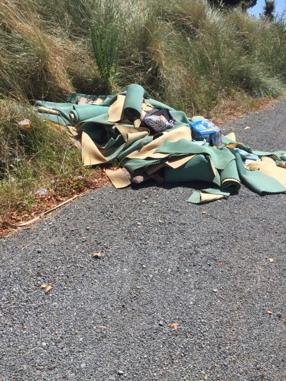 The photograph attached to this rubbish/recycling report
