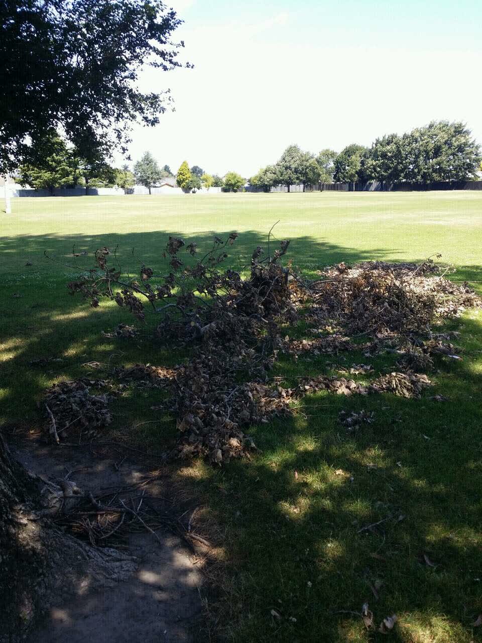The photograph attached to this parks report